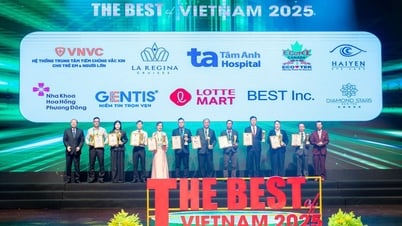 Nha khoa Hoa Hồng Phương Đông lọt Top 5 hệ thống nha khoa hàng đầu Việt Nam