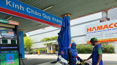 Từ 1/8, PVOIL thí điểm bán xăng sinh học E10 RON95 tại Hà Nội và Hải Phòng