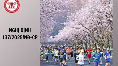 Quy định mới về thẩm quyền giải quyết các thủ tục hành chính thuộc phạm vi, chức năng quản lý của Sở Văn hóa, Thể thao và Du lịch theo quy định về phân cấp, phân định thẩm quyền của chính quyền địa phương 02 cấp