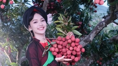 'Ngọc nữ quan họ' mang dân ca Việt đến sân khấu quốc tế là ai?