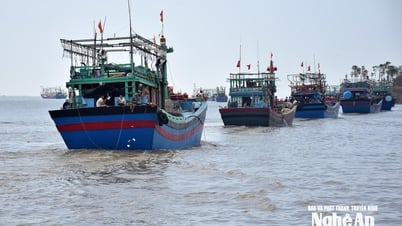 Nghệ An dỡ lệnh cấm biển, tàu thuyền được phép ra khơi trở lại sau bão số 3 từ sáng nay 24/7
