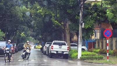 Nhiều tài xế đỗ xe ô tô bất chấp biển cấm