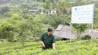 Một thời chinh chiến, một đời dựng xây