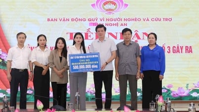 Ủy ban MTTQ Việt Nam tỉnh Nghệ An ra lời kêu gọi ủng hộ đồng bào vùng thiệt hại do ảnh hưởng cơn bão số 3