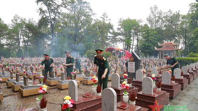 Tri ân và vững bước