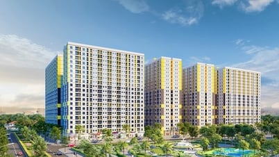 Près de 37 000 logements sociaux ont été réalisés.