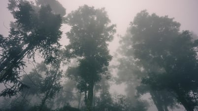 'Làng địa ngục' Sảo Há của Andy Trung