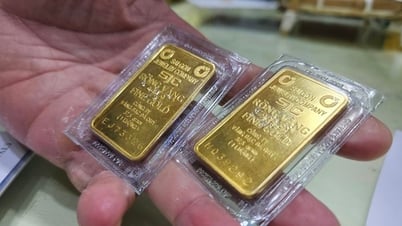 Giá vàng miếng SJC giảm nhanh, thị trường vàng trong nước biến động mạnh