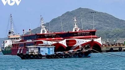 コンダオ島、観光客の安全確保のため観光船を検査