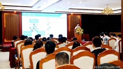 Hơn 300 cán bộ tham gia hội nghị phổ biến, hướng dẫn thực hiện các quy định pháp luật về đấu thầu