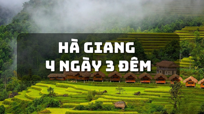 Lịch trình Tuyên Quang 4 ngày 3 đêm: Trọn gói A đến Z tour Tuyên Quang