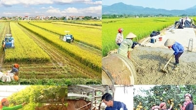 Phấn đấu giải ngân 100% vốn đầu tư công cho các chương trình mục tiêu quốc gia