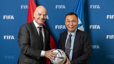 Chủ tịch FIFA gửi thư tới Chủ tịch VFF, chúc mừng CLB Nam Định vô địch quốc gia