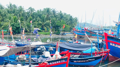 Siết chặt quản lý tàu cá vì mục tiêu gỡ “thẻ vàng”