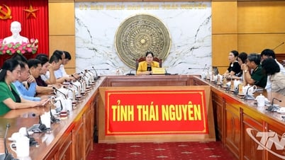 Sẵn sàng cho Triển lãm thành tựu đất nước nhân kỷ niệm Ngày Quốc khánh