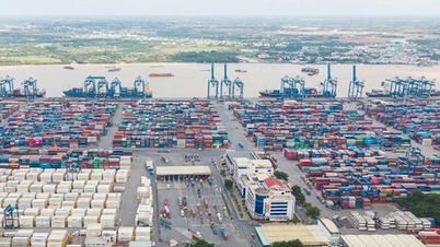 Quy mô thị trường logistics Việt Nam hiện đạt khoảng 45-50 tỷ USD