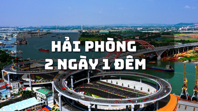 Du lịch 2N1Đ trải nghiệm biển cảng hoa phượng đỏ