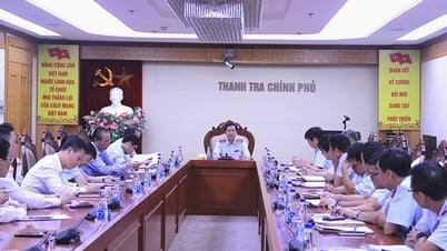 Inspection des projets difficiles et bloqués au ministère de l'Agriculture et de l'Environnement, dans les provinces de Lao Cai et de Thai Nguyen