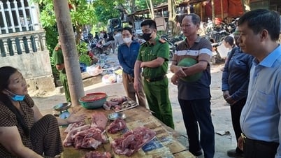 Dịch tả lợn châu Phi dần được khống chế nhờ nhiều cách làm mới