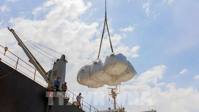 Sản xuất nông nghiệp giảm phát thải: Tiên phong từ hạt gạo Việt