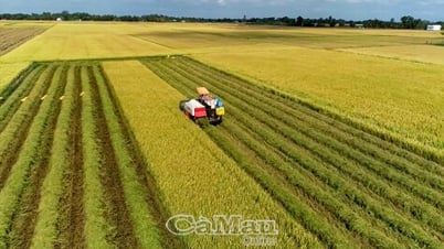 Xã Vĩnh Thanh: Cơ giới hoá toàn diện nông nghiệp