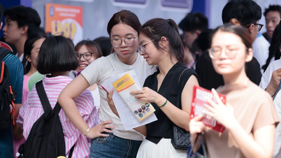 Nỗi lo kép của sinh viên ngành y