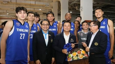 Cuộc đua giữa các cường quốc Đông Nam Á