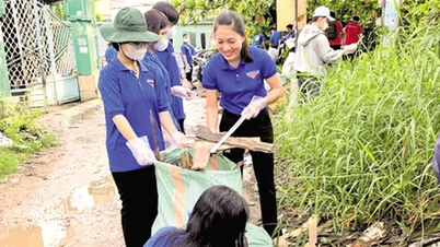 Tuổi trẻ An Bình tình nguyện vì cuộc sống cộng đồng