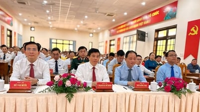 Đặc khu Phú Quý - Một trong các Đại hội đại biểu Đảng bộ đặc khu được tổ chức đầu tiên sau sắp xếp