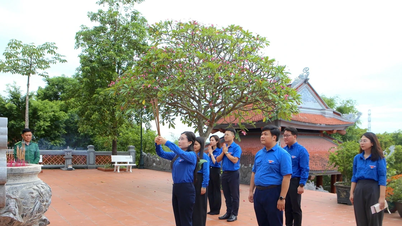 Trung ương Đoàn tổ chức nhiều hoạt động ý nghĩa tại tỉnh Quảng Trị