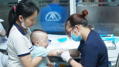 Phẫu thuật miễn phí cho trẻ em sứt môi, hở hàm ếch trong tháng 8