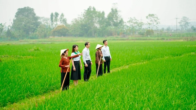 Cần một hành lang pháp lý rõ ràng để bảo hiểm tiếp cận nông dân