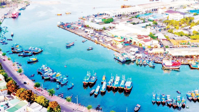 Lâm Đồng: Tiềm năng và cơ hội phát triển