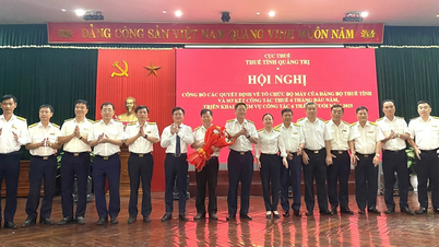 Công bố các quyết định về tổ chức bộ máy của Đảng bộ Thuế tỉnh