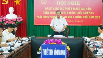 6 tháng đầu năm, Thuế tỉnh Vĩnh Long thu nội địa đạt gần 57%