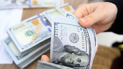 Tỷ giá USD hôm nay (25-7): Đồng USD tăng nhẹ sau khi ECB giữ...