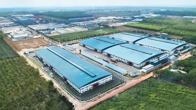 Quỹ đầu tư mở đường cho doanh nghiệp ra “biển lớn”