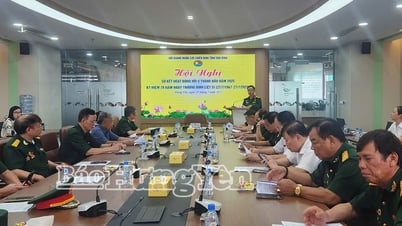태국빈 재향군인회, 2025년 상반기 총매출 약 2조5,000억 동 달성