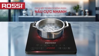 Bếp từ đơn mâm từ bằng đồng ROSSI – Bước đột phá mới trong hành trình nâng tầm tiện nghi sống