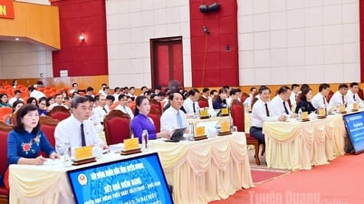 HĐND tỉnh tổ chức kỳ họp chuyên đề lần thứ nhất: Quyết nghị nhiều nội dung quan trọng năm 2025