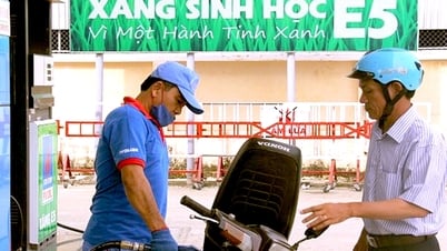 Xăng E10 thay xăng khoáng, ông lớn chiếm 50% thị phần thí điểm tại TP.HCM từ 1-8