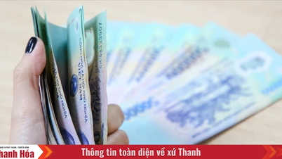 Hơn 74.200 cán bộ, công chức nghỉ việc do sắp xếp bộ máy được nhận tiền trợ cấp