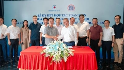 Đại học Y Hà Nội ký kết hợp tác cùng Công ty xây dựng đô thị Phương Đông