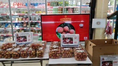 Nông sản Việt Nam trên kệ hàng quốc tế