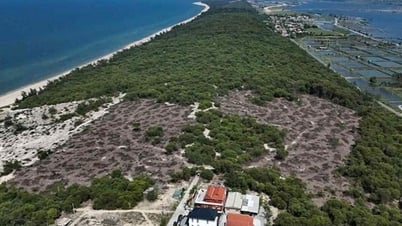 Kỷ luật khiển trách một kiểm lâm, chuyển hồ sơ qua cơ quan công an