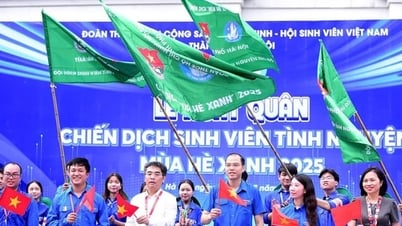 Sinh viên Hà Nội xuất quân Chiến dịch "Mùa hè xanh" 2025