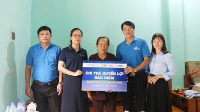 Bắc Ninh: Chi trả quyền lợi bảo hiểm cho thân nhân các nạn nhân trong vụ lật tàu trên vịnh Hạ Long