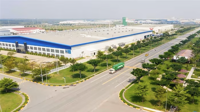 230 tỷ đồng xây tái định cư phục vụ dự án Khu công nghiệp Bình Thanh