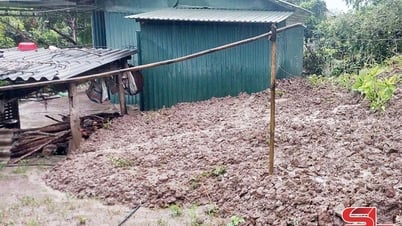 Mưa lớn gây sạt lở đất tại xã Quỳnh Nhai