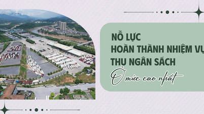 NỖ LỰC HOÀN THÀNH NHIỆM VỤ THU NGÂN SÁCH Ở MỨC CAO NHẤT